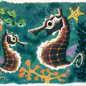 German Cars vs American Homes' DJ PU YI