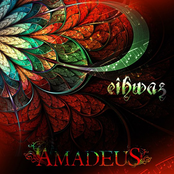 amadeus