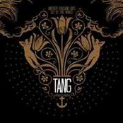 Another Thousand Days, Out Of This World