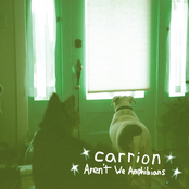 Aren't We Amphibians: Carrion