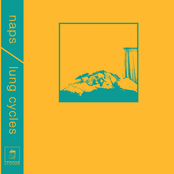 naps / lung cycles