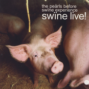 Swine Live!
