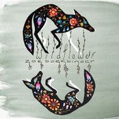 Zoe Boekbinder: Wildflower