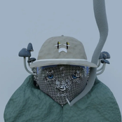 the birth øf bic bøy