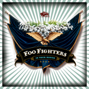 Foo Fighters - The Deepest Blues Are Black