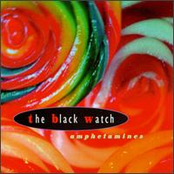 Whatever You Need by The Black Watch