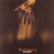 Beast by Wolfgang