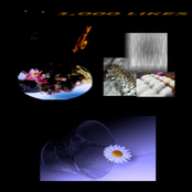 This World of Ambiguity