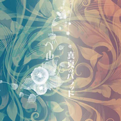 真夏のバラッド