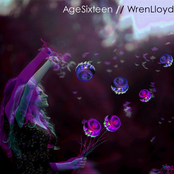 Age Sixteen // Wren Lloyd split