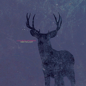 Deer Twillight (2011)