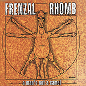 Never Had So Much Fun by Frenzal Rhomb