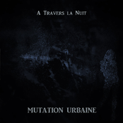 A travers la nuit