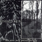 We Are Not Pessimistic