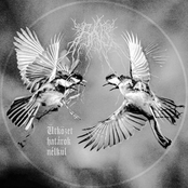 Ütközet határok nélkül