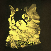 Catastrophe