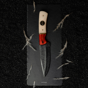 Estudio sobre la Belleza de lo Físico