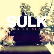 A Photograph Of You by Sulk