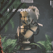 Memory - Single