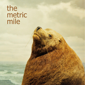 Amateurs by The Metric Mile
