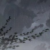 suisside: First Sight