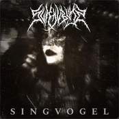 Singvogel