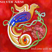 Bird Come With Me