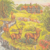 An Introduction to Suffering