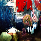 Wince: To Be a Fly in the Rain