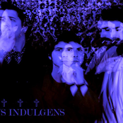 focus indulgens