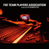 Team Player Association