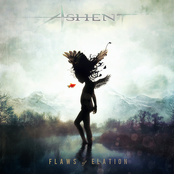 Persistence Of Frailty by Ashent