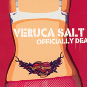 The Light Behind Your Eyes by Veruca Salt