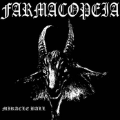 I am the Miracle Ball