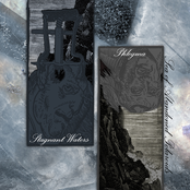 Sea of Abandoned Polaroids