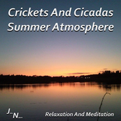 Crickets And Cicadas Summer Atmosphere - Relaxation And Meditation