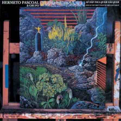 Parnapuã by Hermeto Pascoal