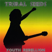 Tribal Seeds: Original
