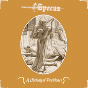 A Melody of Pestilence