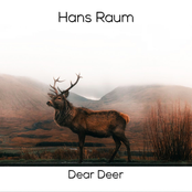 Dear Deer