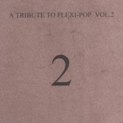 A Tribute To Flexipop, Vol. 2
