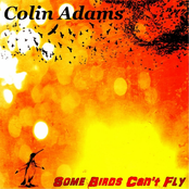 Some Birds Can't Fly