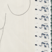 A Begineer's Guide To Lucid Dreaming