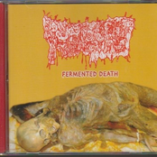 Fermented Death