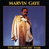 Love Twins by Marvin Gaye