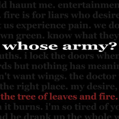 the second demo (the tree of leaves and fire)