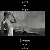 depresion de un animal