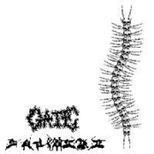 Hip Cops / Gate - split 7''