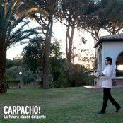 Il Playmaker by Carpacho!