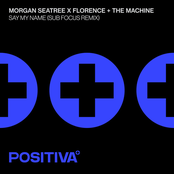 Morgan Seatree: Say My Name (Sub Focus Remix)